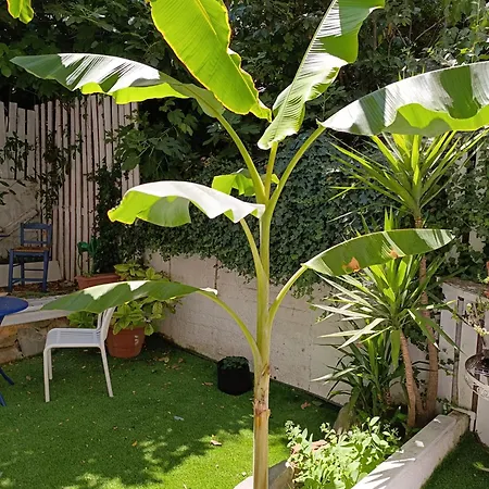 Trykonos Garden - Oasis With Free Parking - Walk To Center, Helexpo & * Салоники